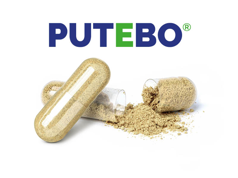 PUTEBO